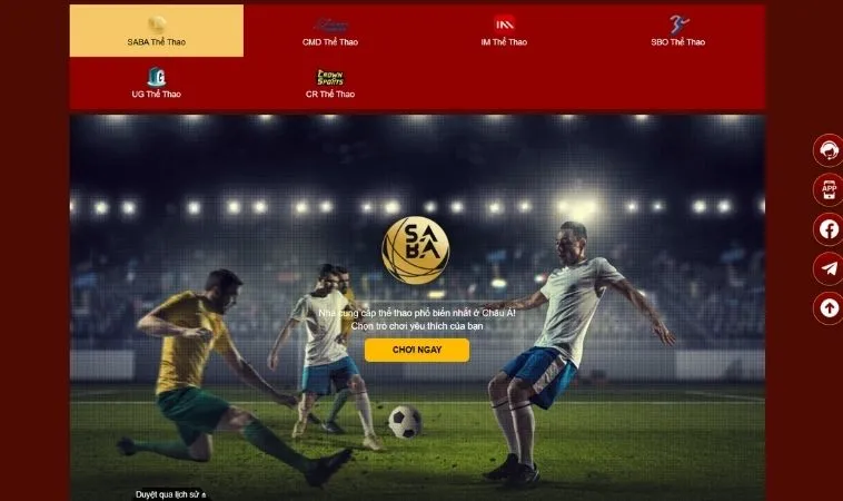 Thể thao 98WIN hợp tác với nhiều nhà cung cấp kèo thể thao chất lượng