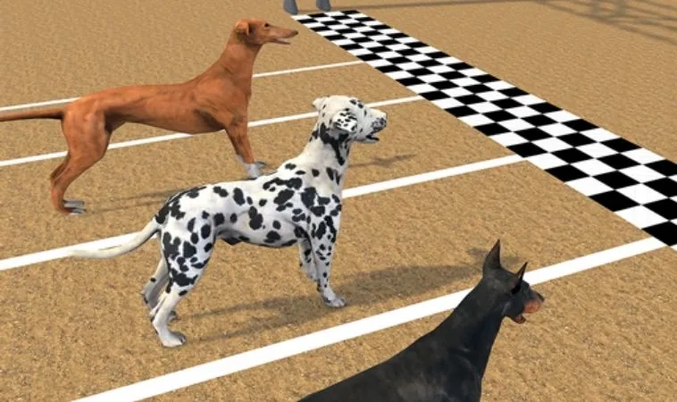 Cách chơi game nhanh Đua Chó Tại 98Win